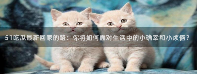 718.sⅹ 吃瓜：51吃瓜最新回家的路：你将如何面对生活中的小确幸和小烦恼？