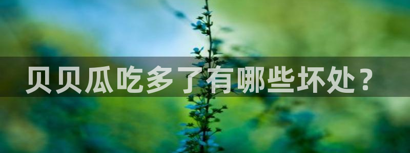 高血糖病人能吃脆瓜吗：贝贝瓜吃多了有哪些坏处？