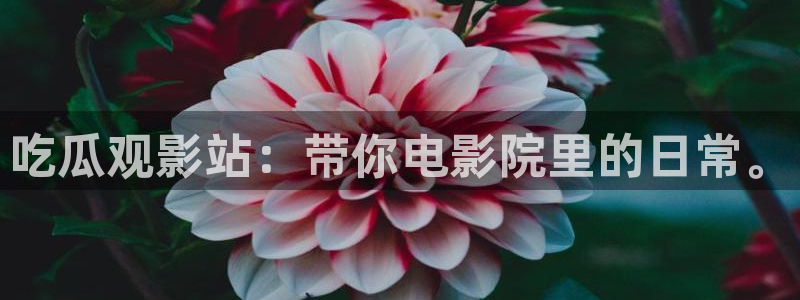 91吃瓜今日吃瓜入口：吃瓜观影站：带你电影院里的日常。