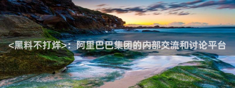 51吃瓜今日必吃刀刀：<黑料不打烊>：阿里巴巴集团的内部交流和讨论平台