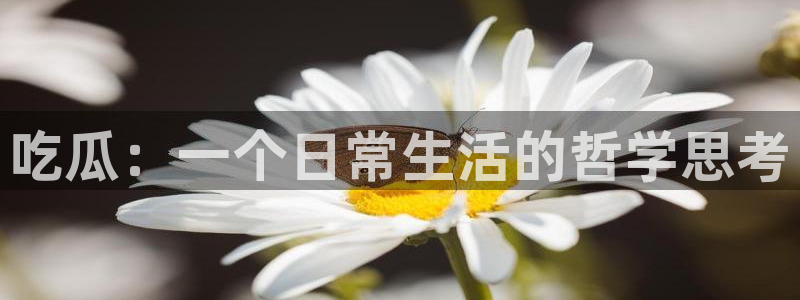 1吃瓜：吃瓜：一个日常生活的哲学思考