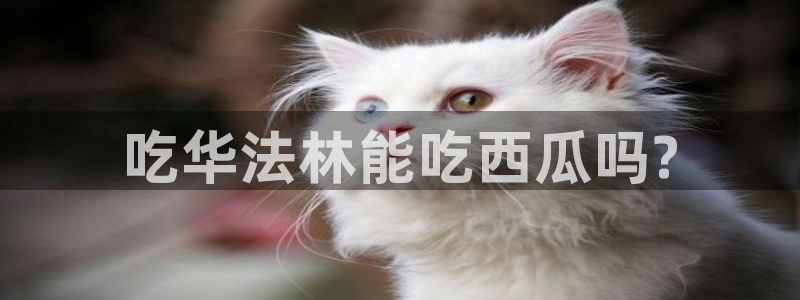 高血糖可以吃贝贝瓜吗：吃华法林能吃西瓜吗?
