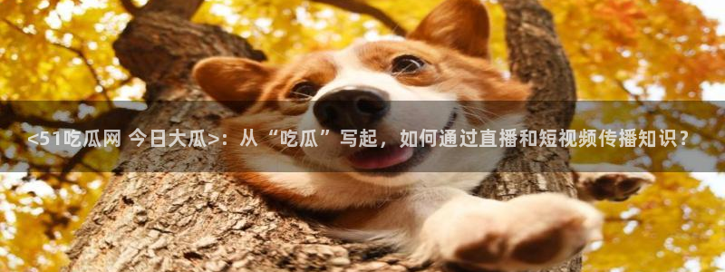 高血糖可以吃瓜吗：<51吃瓜网 今日大瓜>：从“吃瓜”写起，如何通过直播和短视频传播知识？