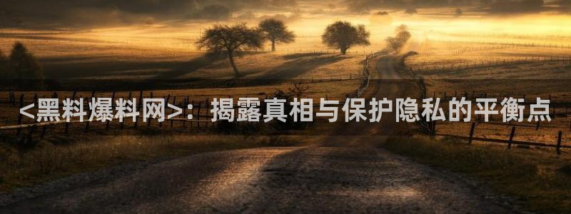 吃瓜www：<黑料爆料网>：揭露真相与保护隐私的平衡点