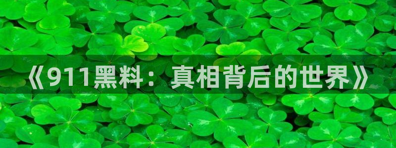 51吃瓜热心张津瑜：《911黑料：真相背后的世界》