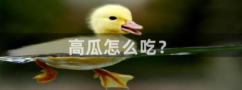 高血糖能吃籽瓜吗：高瓜怎么吃？