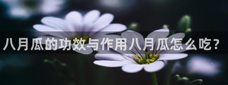 51吃瓜全网更新最快：八月瓜的功效与作用八月瓜怎么吃？