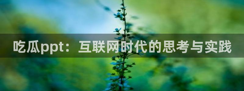 51cg今日吃瓜热门大瓜：吃瓜ppt：互联网时代的思考与实践